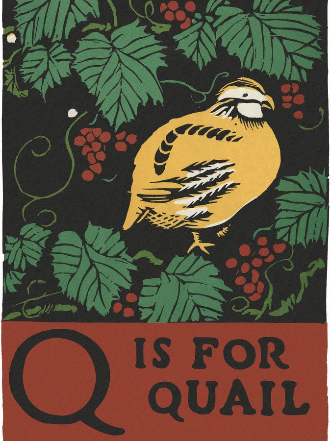 Alphabet  Q Is For Quail By C.B. Falls Fine Art Print