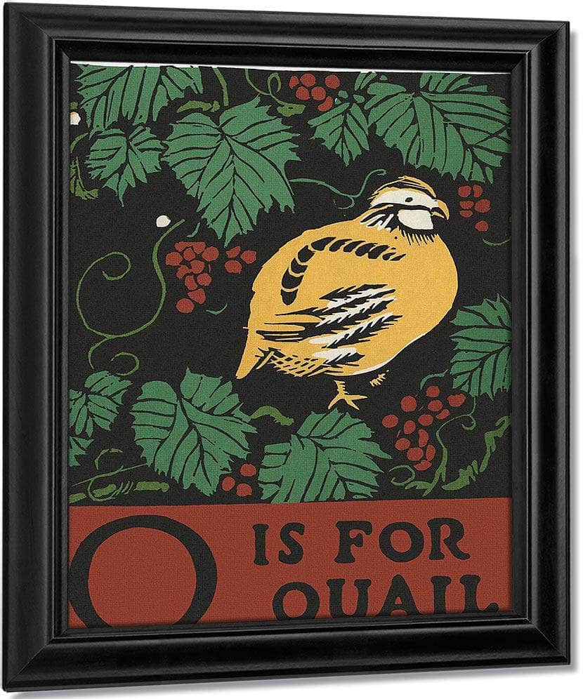 Alphabet  Q Is For Quail By C.B. Falls Fine Art Print