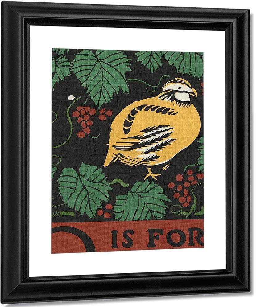 Alphabet  Q Is For Quail By C.B. Falls Fine Art Print