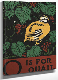 Alphabet  Q Is For Quail By C.B. Falls Fine Art Print