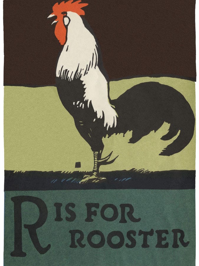 Alphabet R Is For Rooster By C.B. Falls Fine Art Print