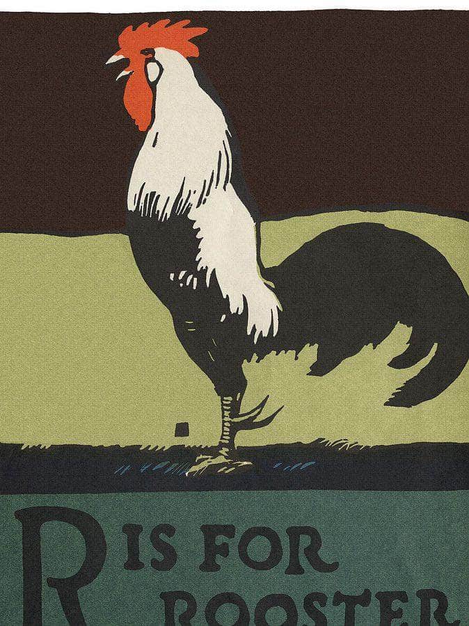 Alphabet R Is For Rooster By C.B. Falls Fine Art Print