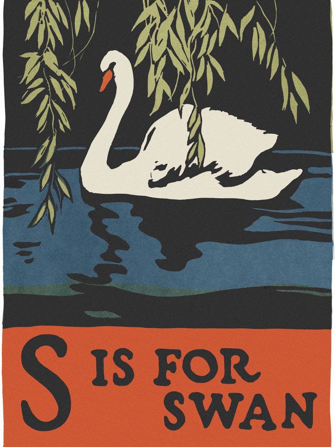 Alphabet S Is For Swan By C.B. Falls Fine Art Print