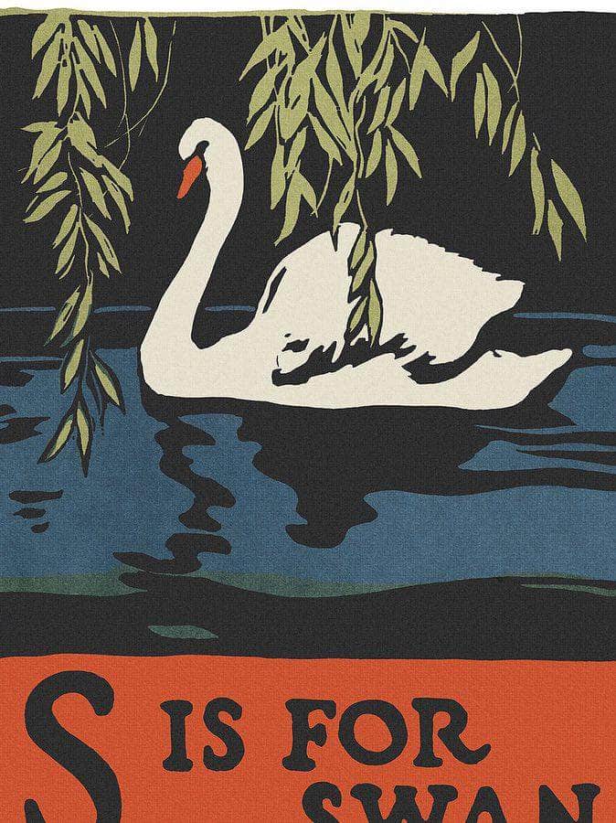 Alphabet S Is For Swan By C.B. Falls Fine Art Print