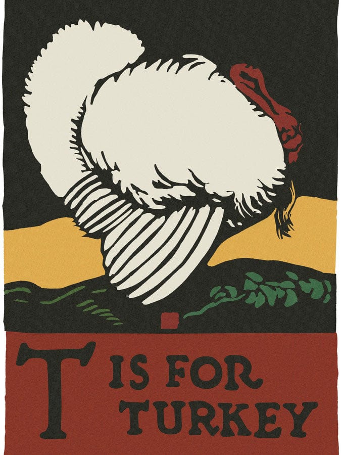 Alphabet T Is For Turkey By C.B. Falls Fine Art Print