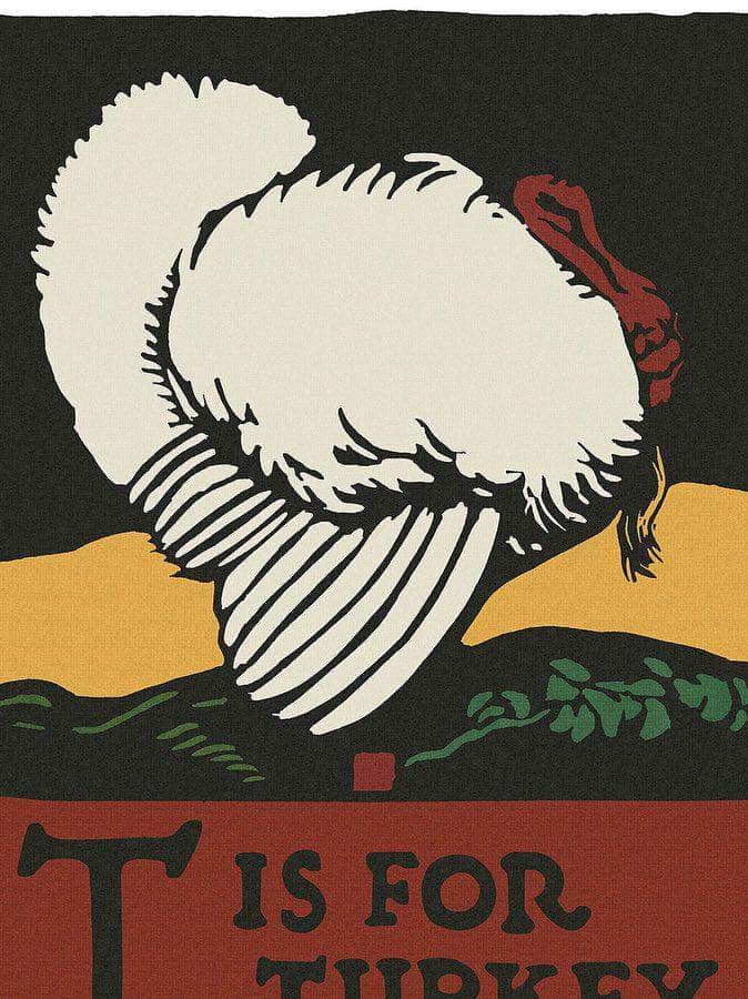 Alphabet T Is For Turkey By C.B. Falls Fine Art Print