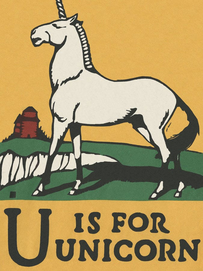Alphabet U Is For Unicorn By C.B. Falls Fine Art Print