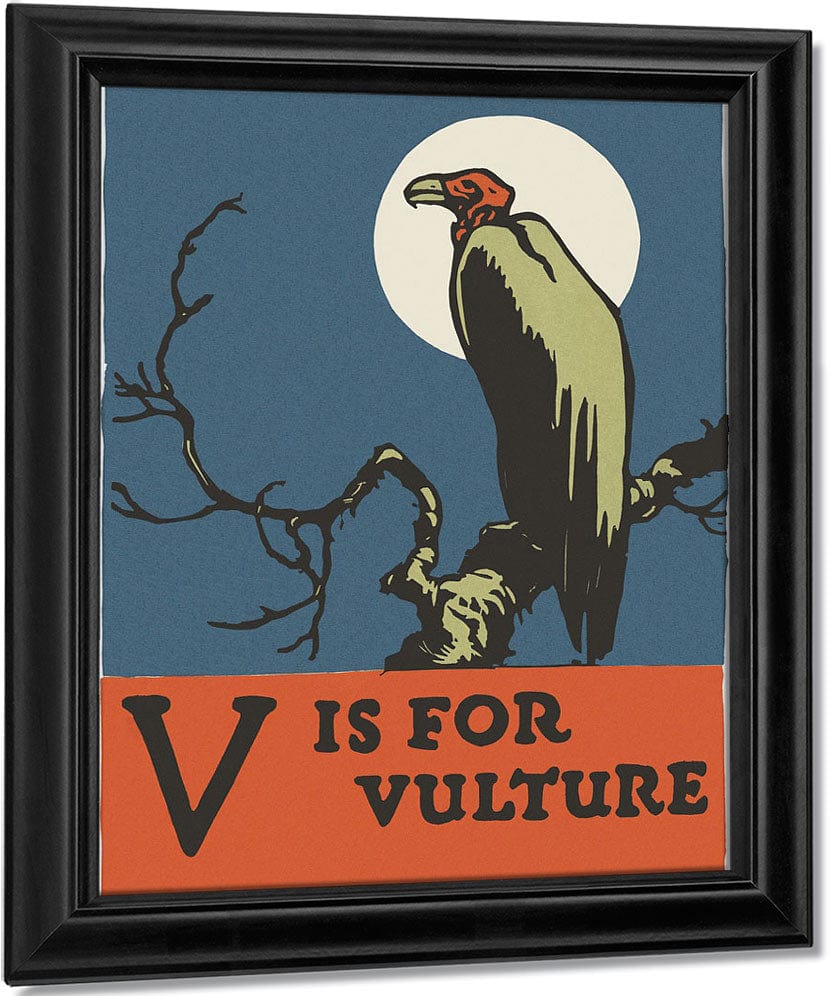 Alphabet V Is For Vulture By C.B. Falls Fine Art Print