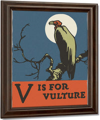 Alphabet V Is For Vulture By C.B. Falls Fine Art Print