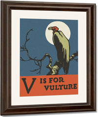 Alphabet V Is For Vulture By C.B. Falls Fine Art Print