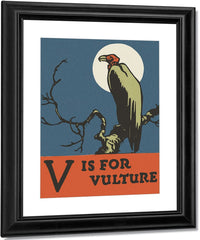 Alphabet V Is For Vulture By C.B. Falls Fine Art Print