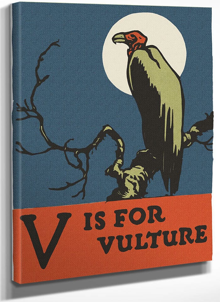 Alphabet V Is For Vulture By C.B. Falls Fine Art Print