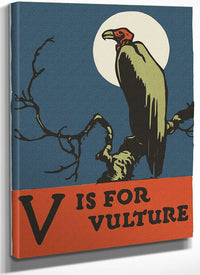 Alphabet V Is For Vulture By C.B. Falls Fine Art Print