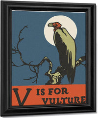 Alphabet V Is For Vulture By C.B. Falls Fine Art Print