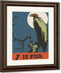 Alphabet V Is For Vulture By C.B. Falls Fine Art Print