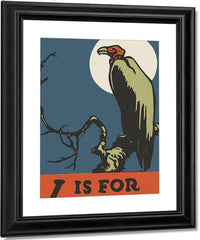 Alphabet V Is For Vulture By C.B. Falls Fine Art Print