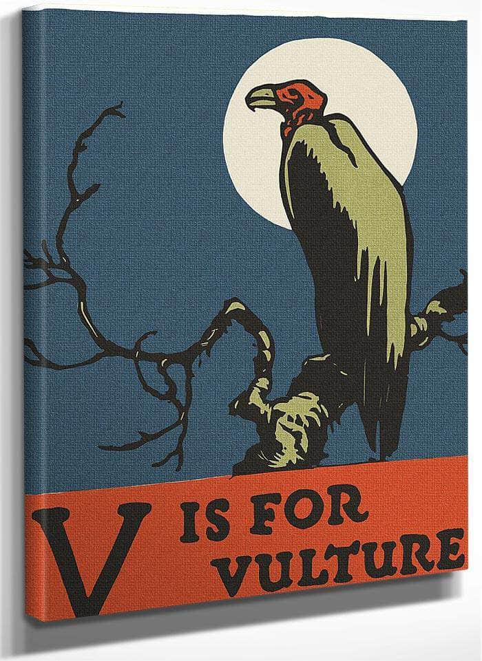 Alphabet V Is For Vulture By C.B. Falls Fine Art Print