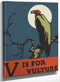 Alphabet V Is For Vulture By C.B. Falls Fine Art Print
