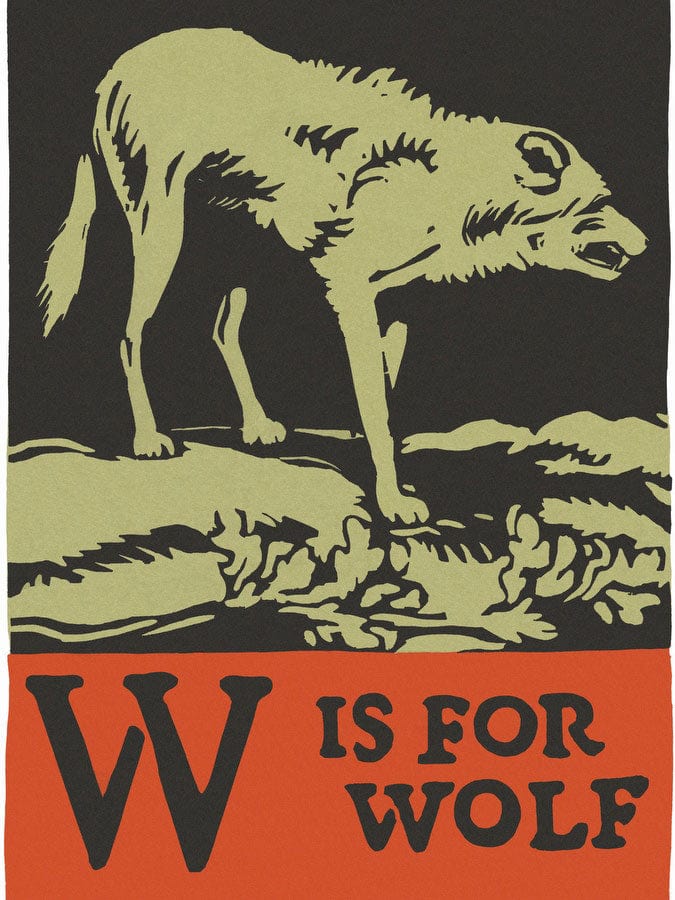 Alphabet W Is For Wolf By C.B. Falls Fine Art Print