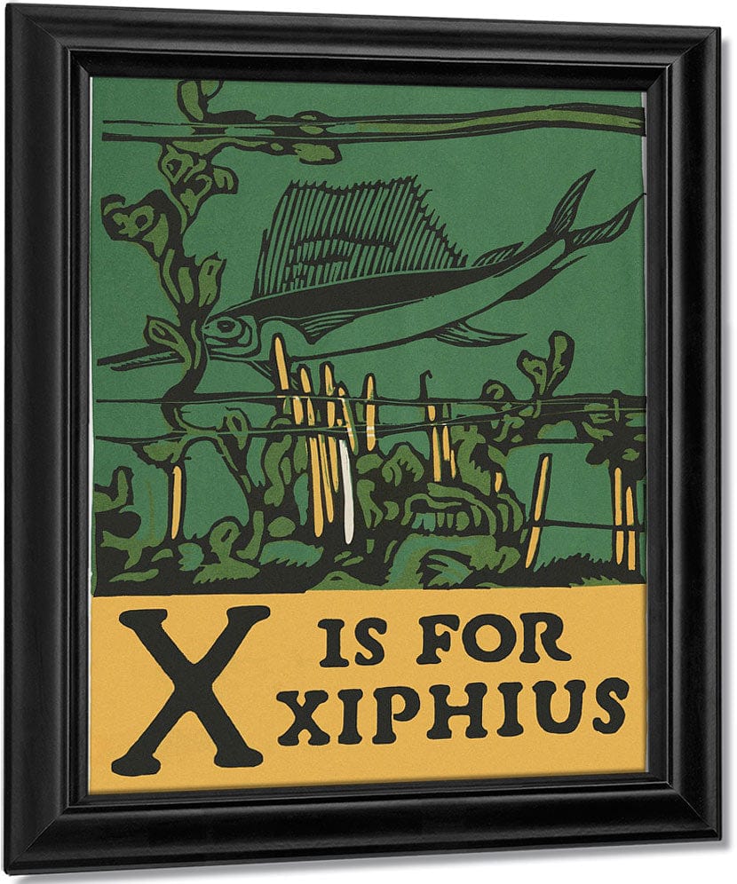 Alphabet X Is For Xiphius By C.B. Falls Fine Art Print