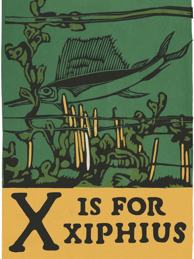 Alphabet X Is For Xiphius By C.B. Falls Fine Art Print