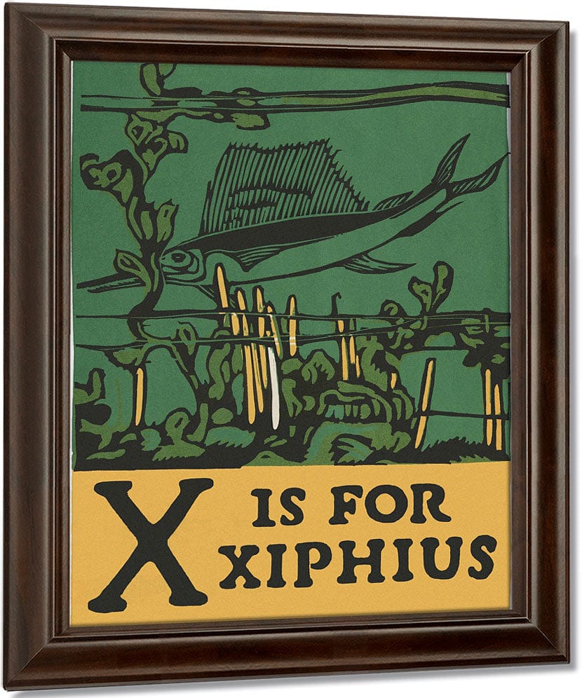 Alphabet X Is For Xiphius By C.B. Falls Fine Art Print