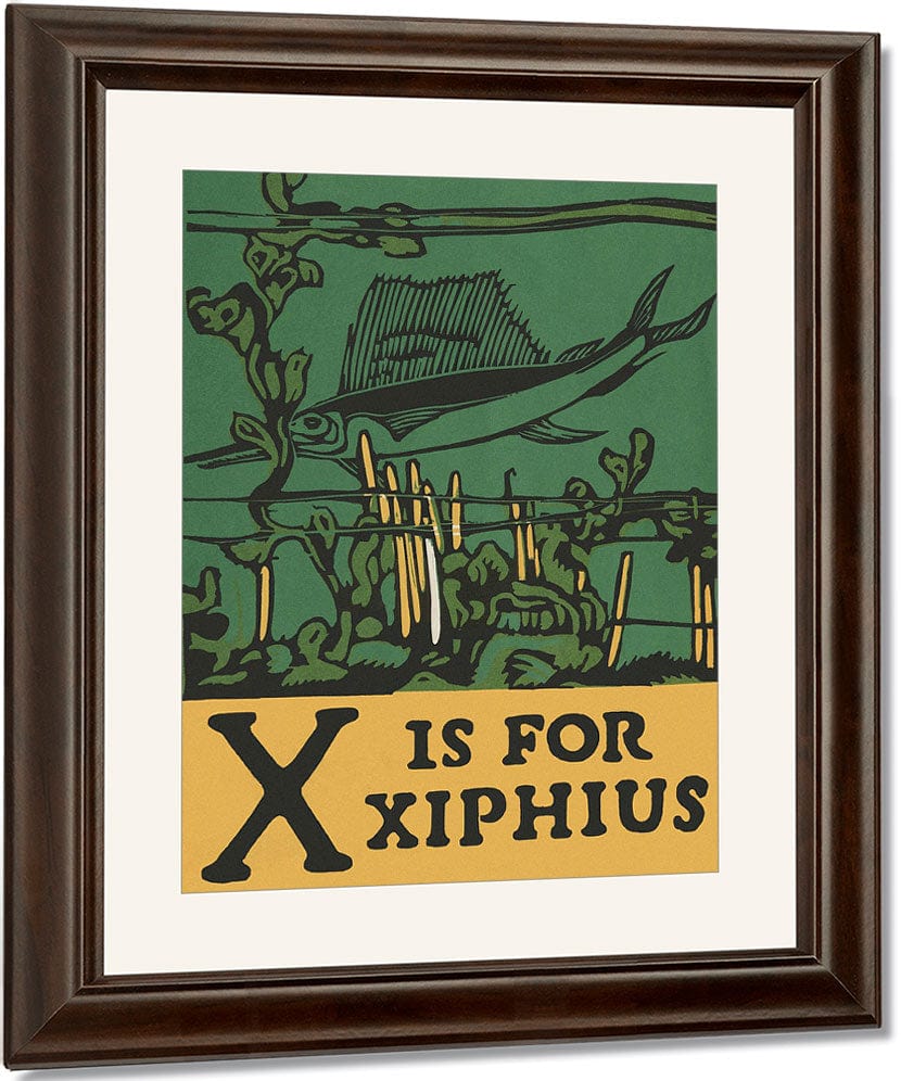 Alphabet X Is For Xiphius By C.B. Falls Fine Art Print