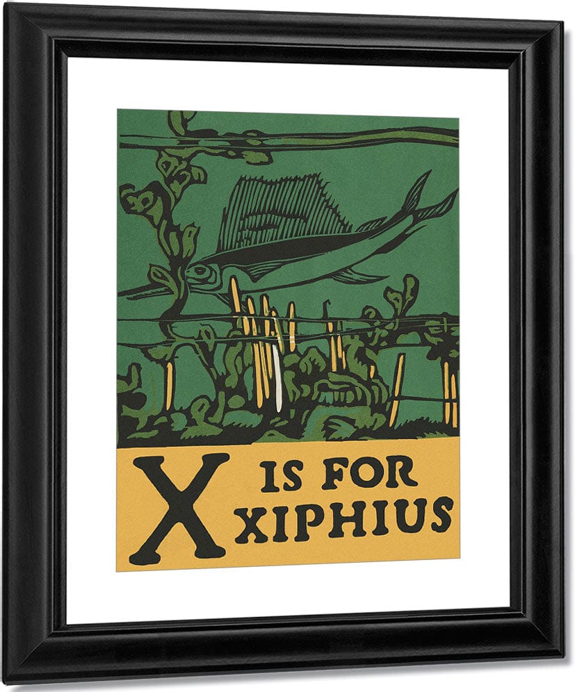 Alphabet X Is For Xiphius By C.B. Falls Fine Art Print