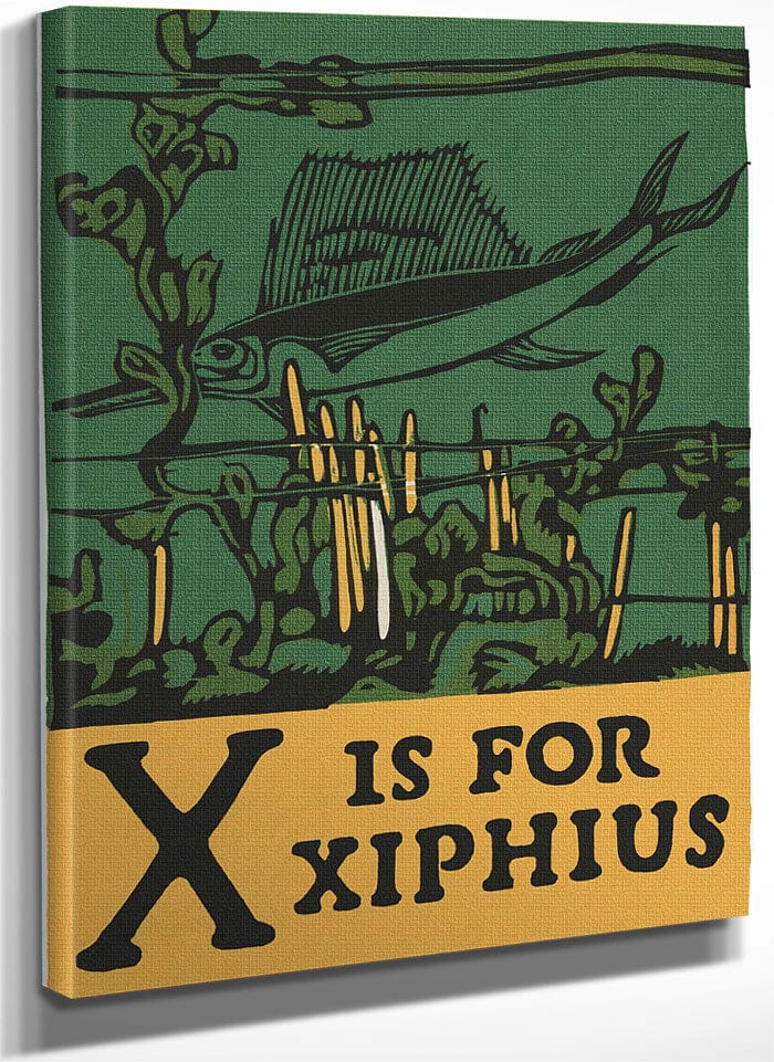 Alphabet X Is For Xiphius By C.B. Falls Fine Art Print