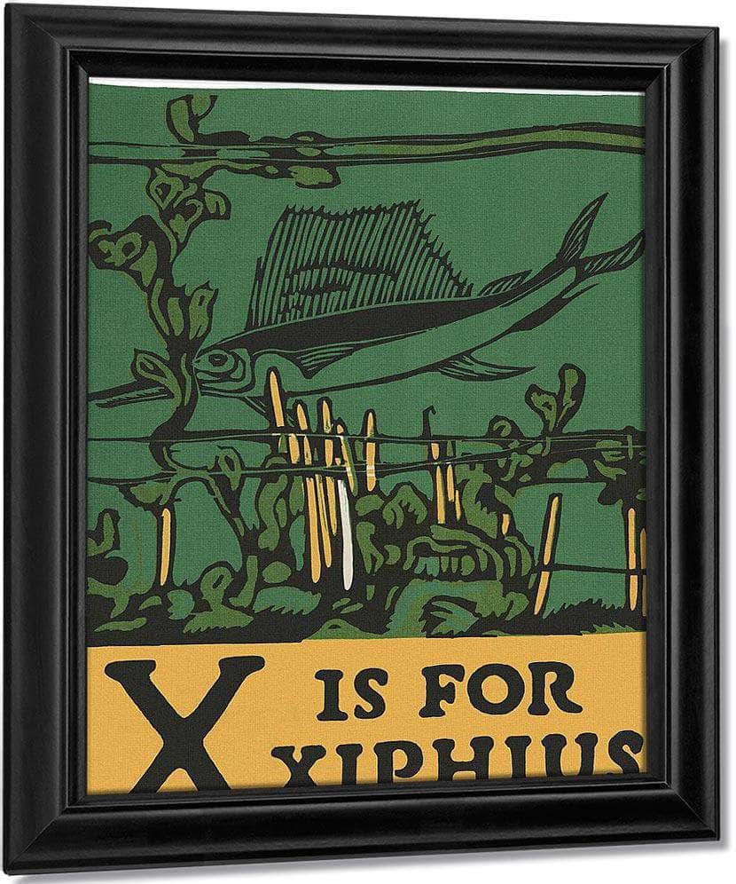 Alphabet X Is For Xiphius By C.B. Falls Fine Art Print