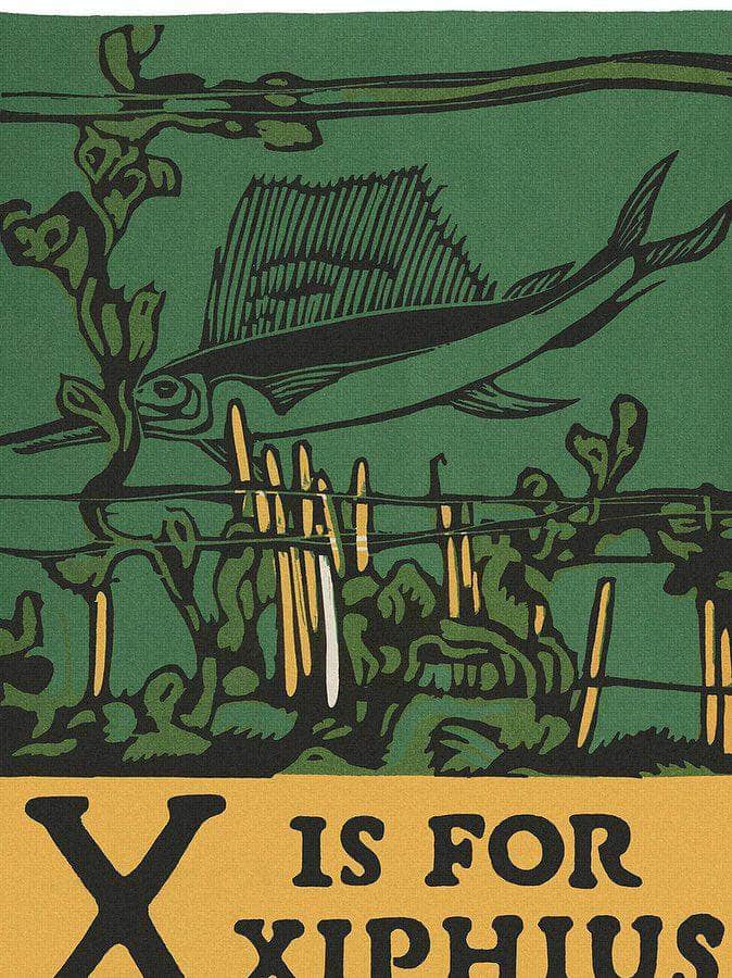 Alphabet X Is For Xiphius By C.B. Falls Fine Art Print