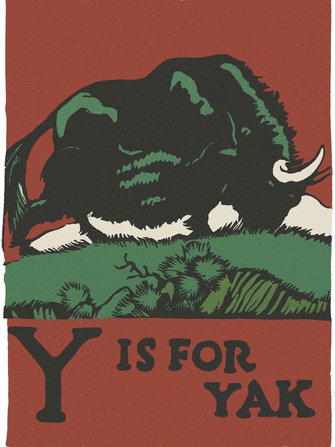 Alphabet Y Is For Yak By C.B. Falls Fine Art Print