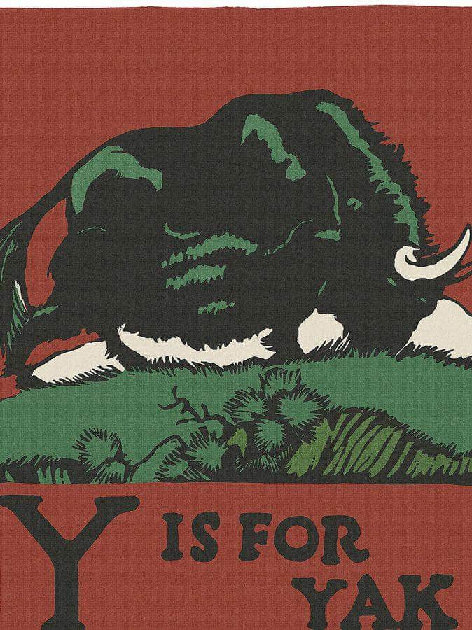 Alphabet Y Is For Yak By C.B. Falls Fine Art Print