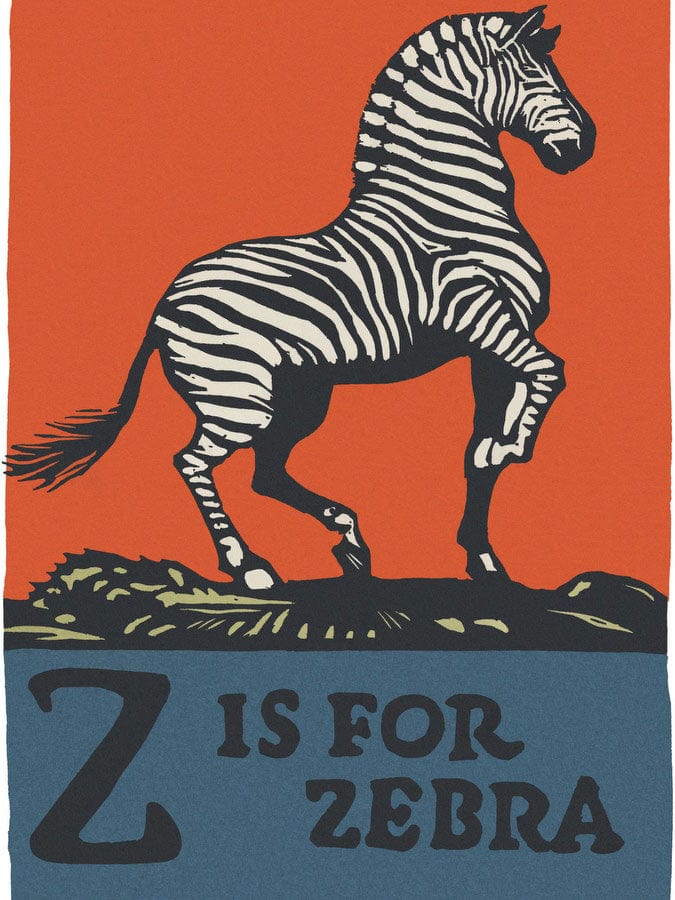Alphabet Z Is For Zebra By C.B. Falls Fine Art Print