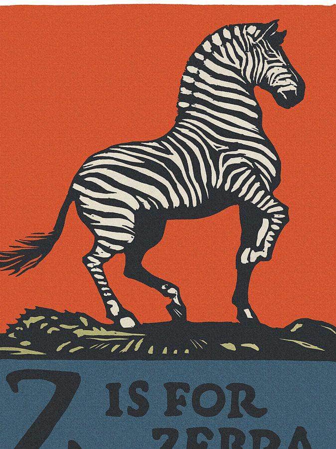 Alphabet Z Is For Zebra By C.B. Falls Fine Art Print