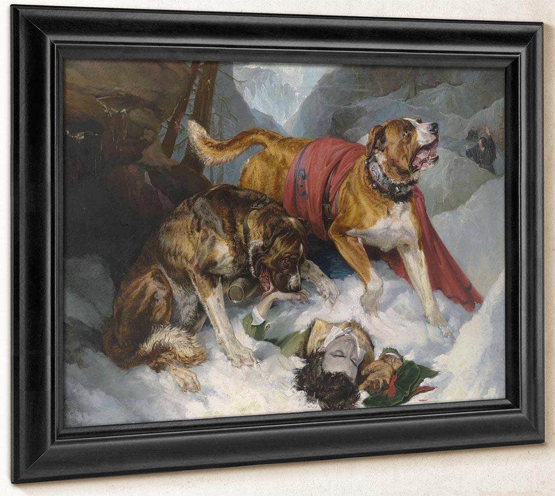Alpine Mastiffs Reanimating A Distressed By Edwin Landseer Fine Art Print