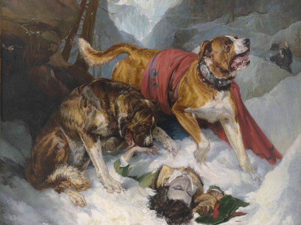 Alpine Mastiffs Reanimating A Distressed By Edwin Landseer Fine Art Print