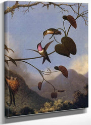 Amethyst Woodstar By Martin Johnson Heade Fine Art Print