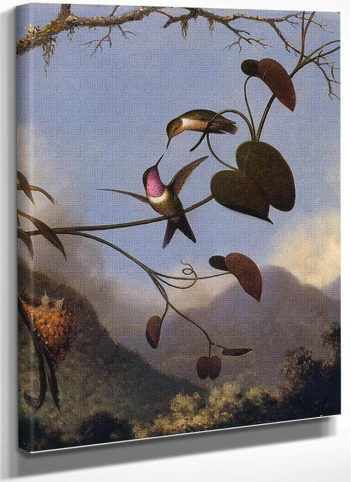 Amethyst Woodstar By Martin Johnson Heade Fine Art Print