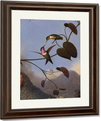 Amethyst Woodstar By Martin Johnson Heade Fine Art Print