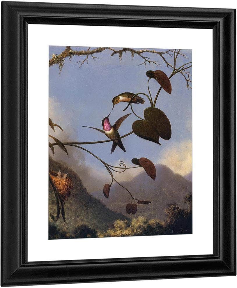 Amethyst Woodstar By Martin Johnson Heade Fine Art Print