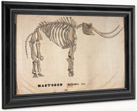 Amherst Orra Wh Mastodon By Orra White Hitchcock Fine Art Print