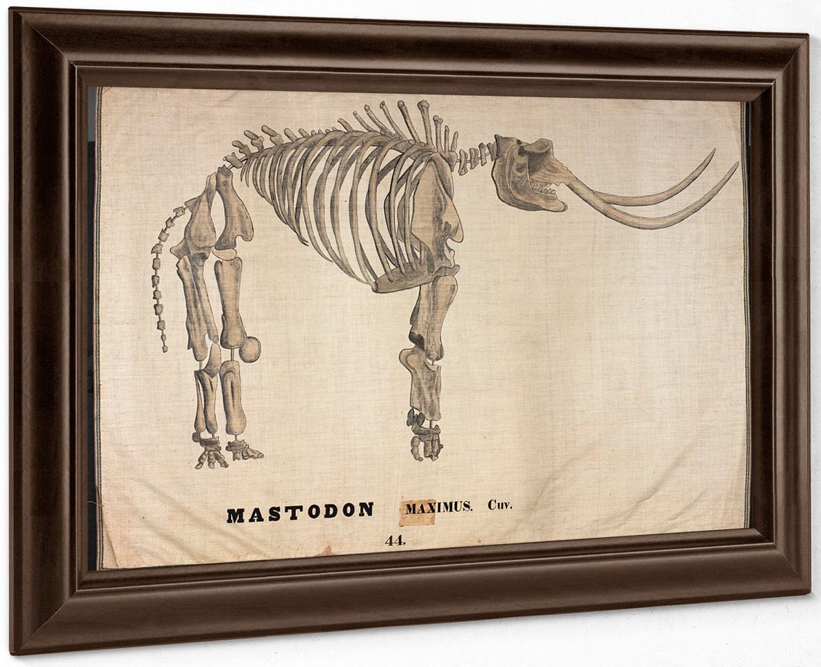 Amherst Orra Wh Mastodon By Orra White Hitchcock Fine Art Print