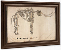 Amherst Orra Wh Mastodon By Orra White Hitchcock Fine Art Print