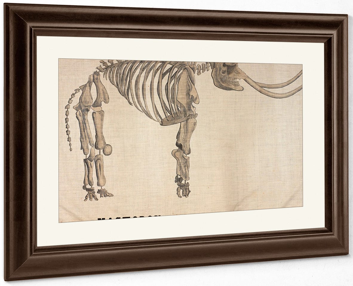 Amherst Orra Wh Mastodon By Orra White Hitchcock Fine Art Print