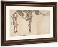 Amherst Orra Wh Mastodon By Orra White Hitchcock Fine Art Print