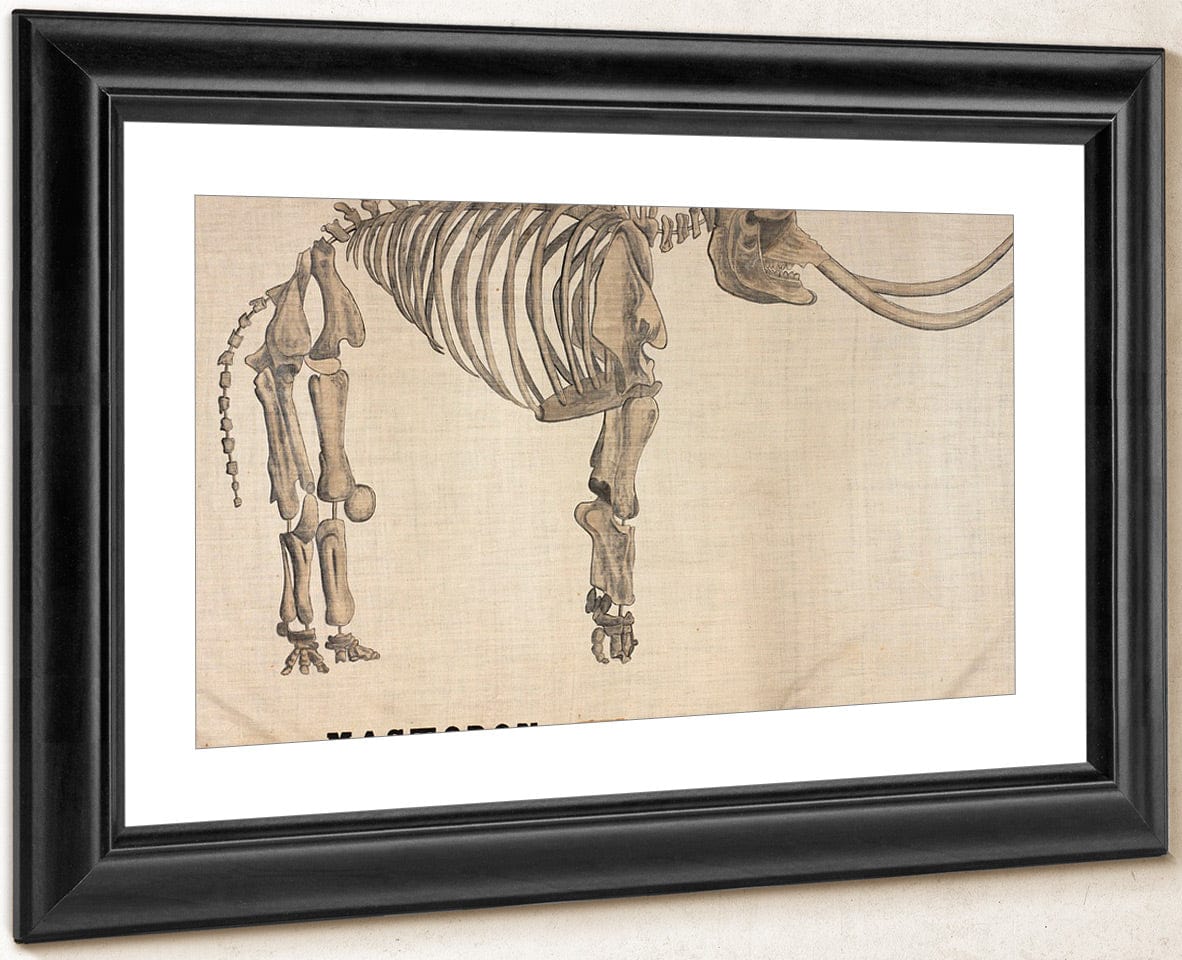 Amherst Orra Wh Mastodon By Orra White Hitchcock Fine Art Print