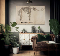 Amherst Orra Wh Mastodon By Orra White Hitchcock Fine Art Print