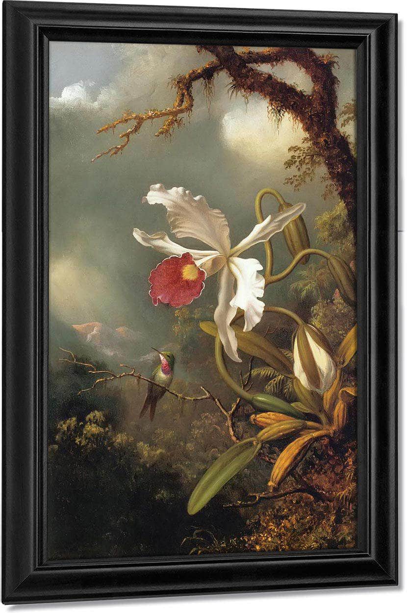 An Amethyst Hummingbird By Martin Johnson Heade Fine Art Print