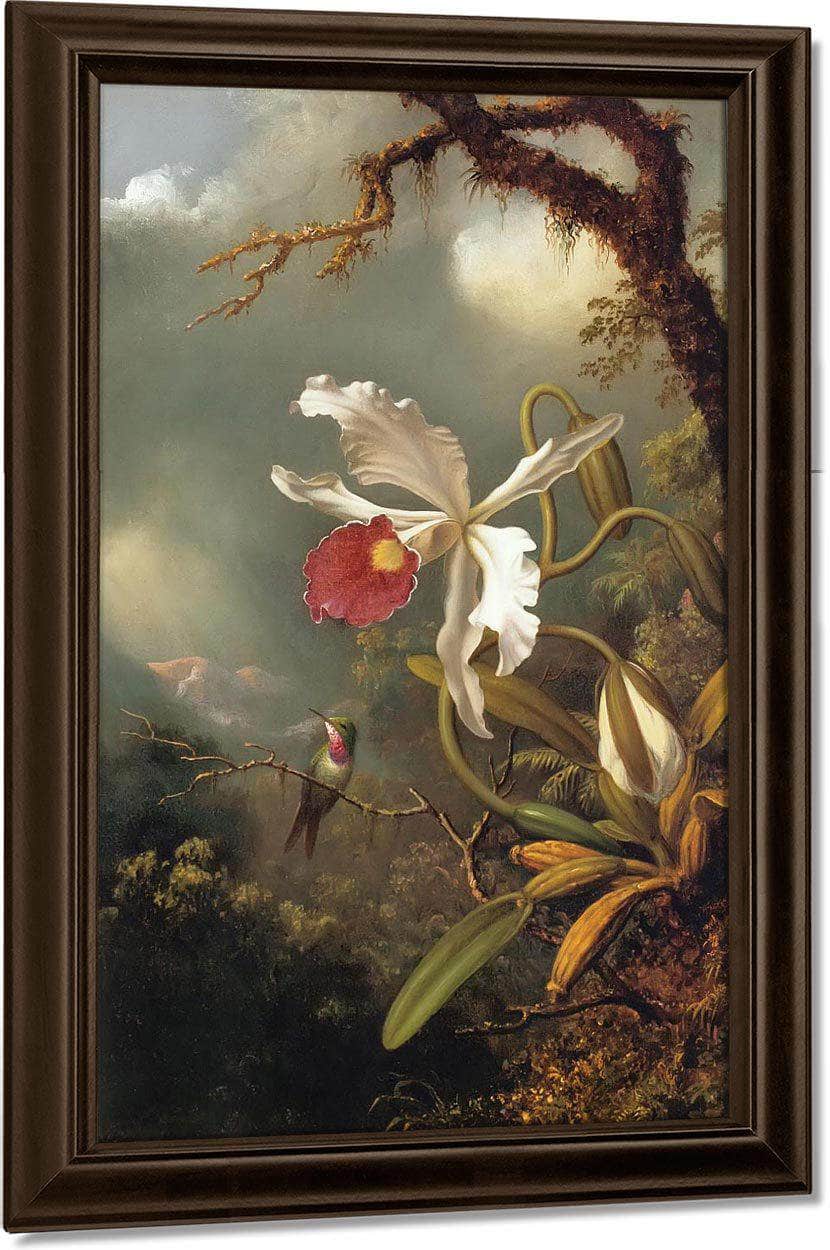 An Amethyst Hummingbird By Martin Johnson Heade Fine Art Print
